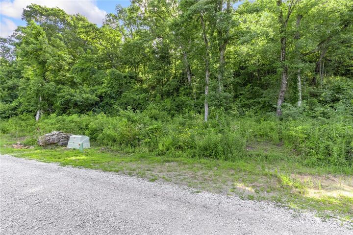 Property Photo: Lot 6 Peaceful Place AR 72601