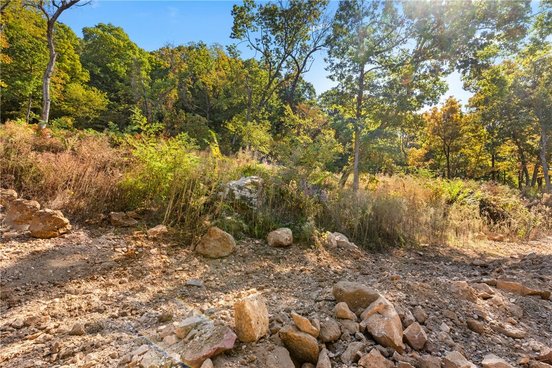 Property Photo:  Lot 3 Significance Summit  AR 72601 