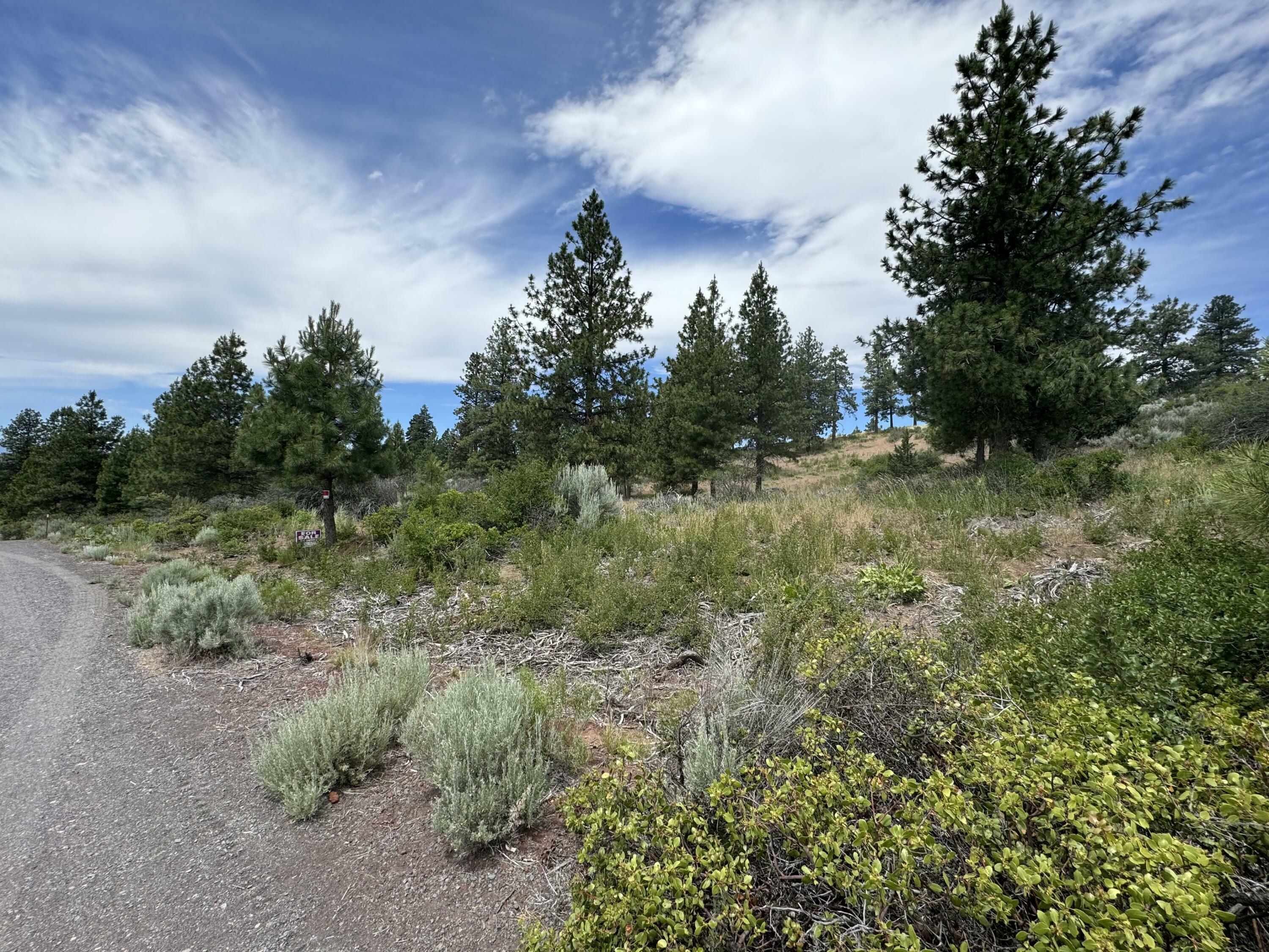 Property Photo:  Legget Drive Lot 24  OR 97624 