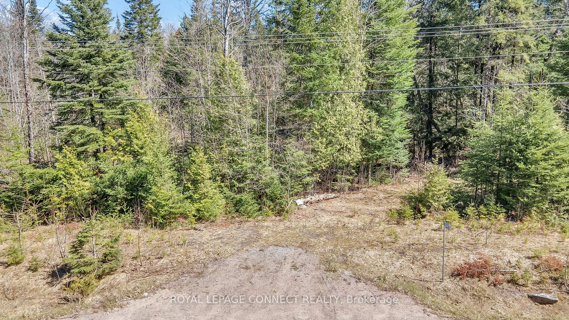 Property Photo:  12548 N County Rd 503  ON K0L 3C0 