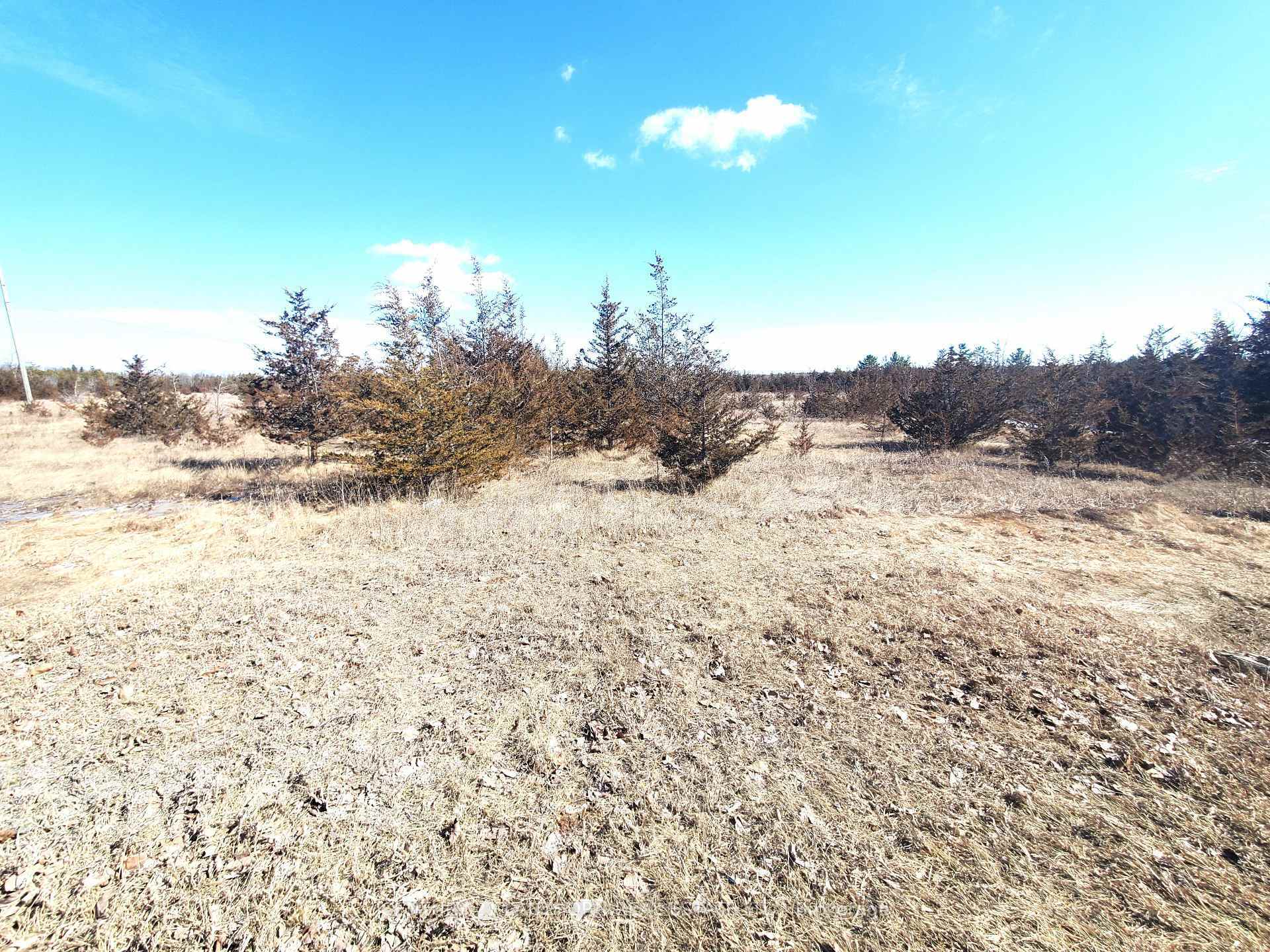 Photo de la propriété:  521 Hwy 41 N/A  ON K0K 2W0 