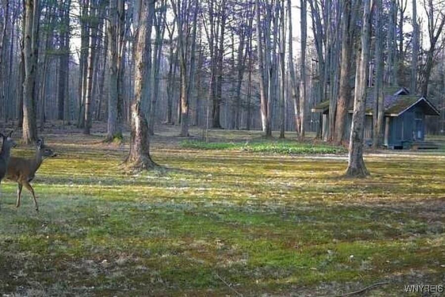 Property Photo:  11955 Tonawanda Creek Road  NY 14001 