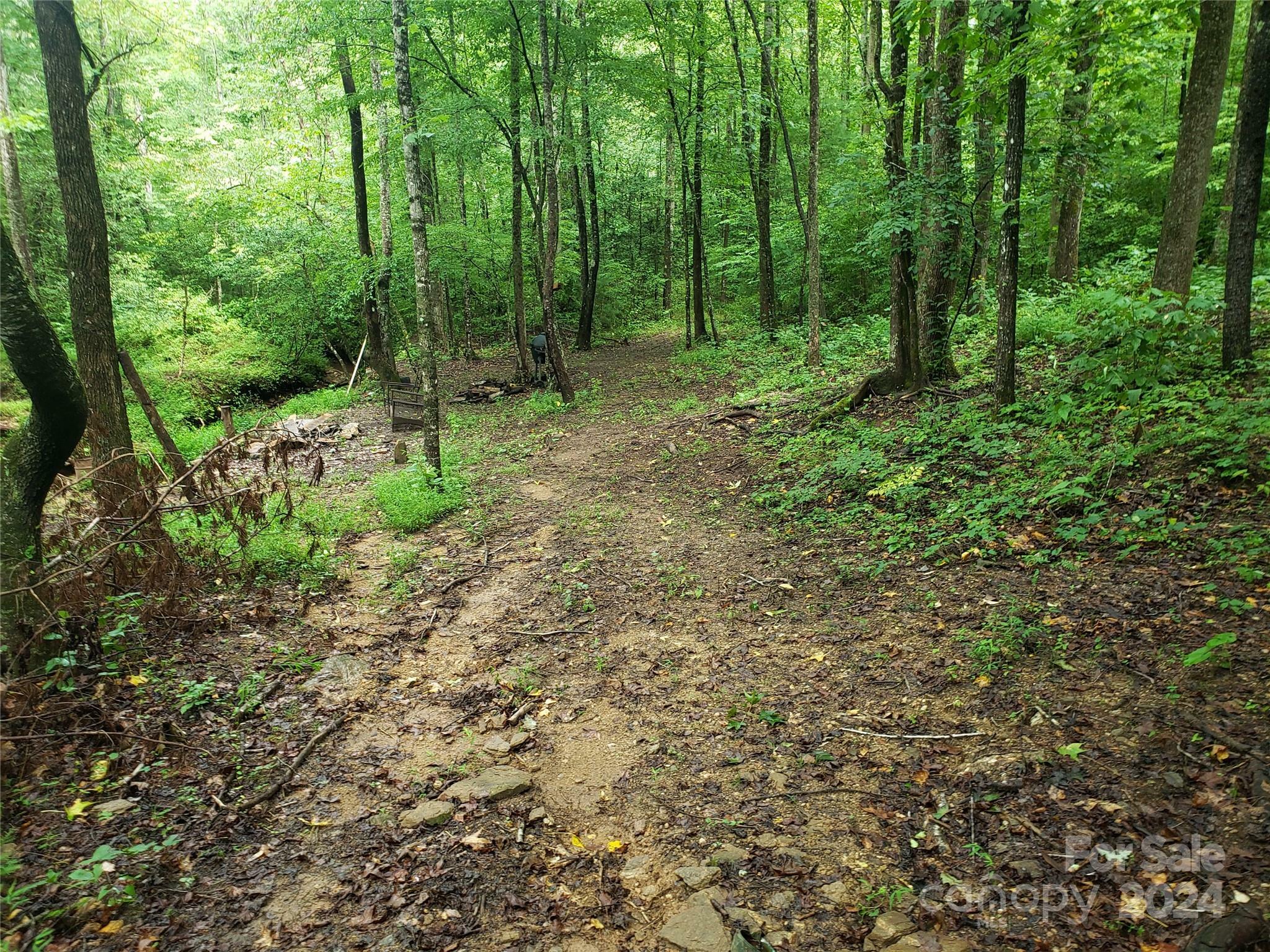 Property Photo:  00 Luckadoo Mountain Road  NC 28018 