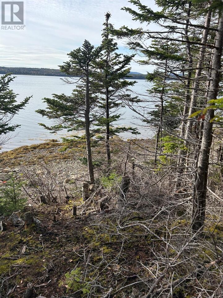 Property Photo:  Lot # 04 Smith Sound Road  NL A5A 3A1 