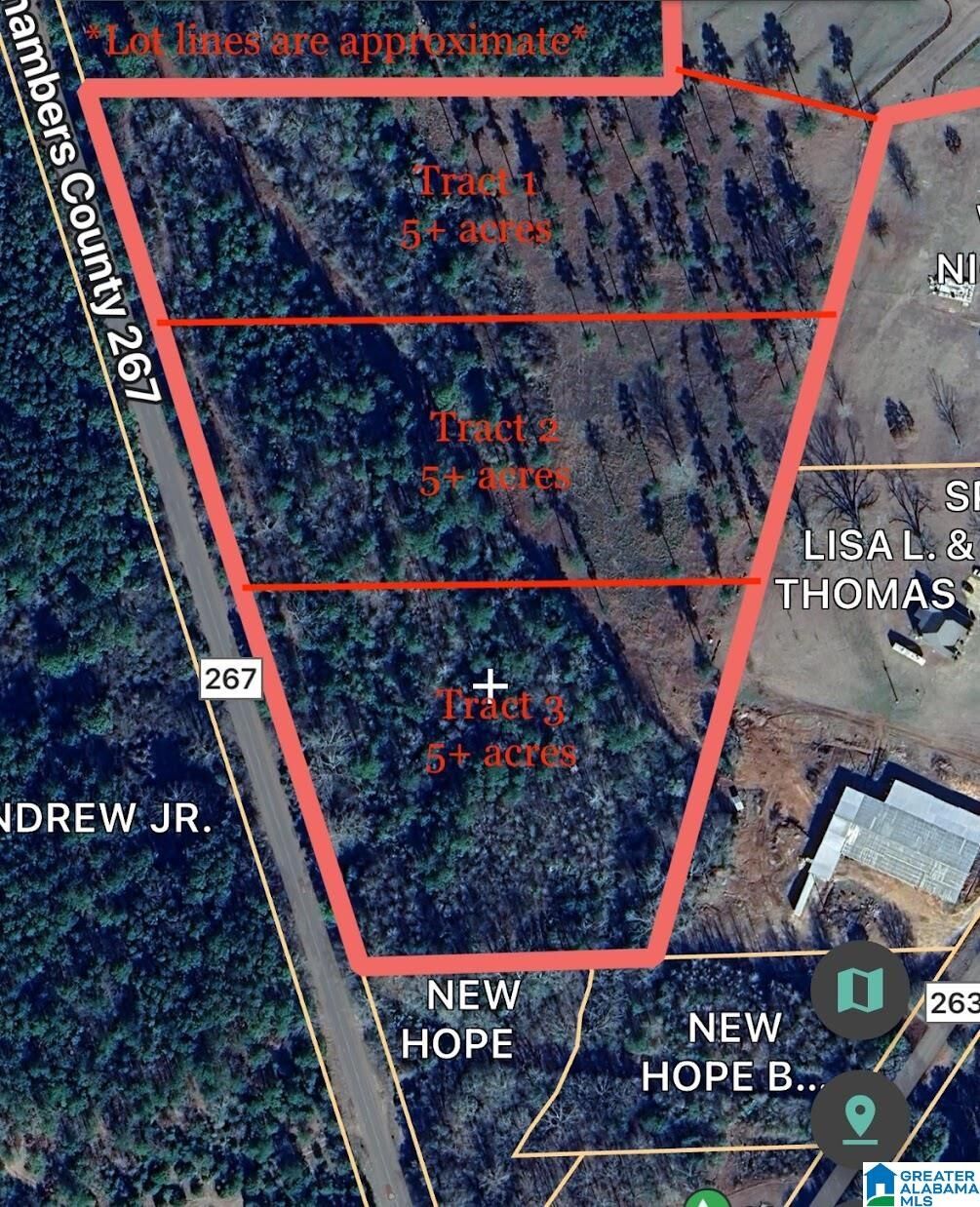 Property Photo: 0 County Road 267 0 AL 36863