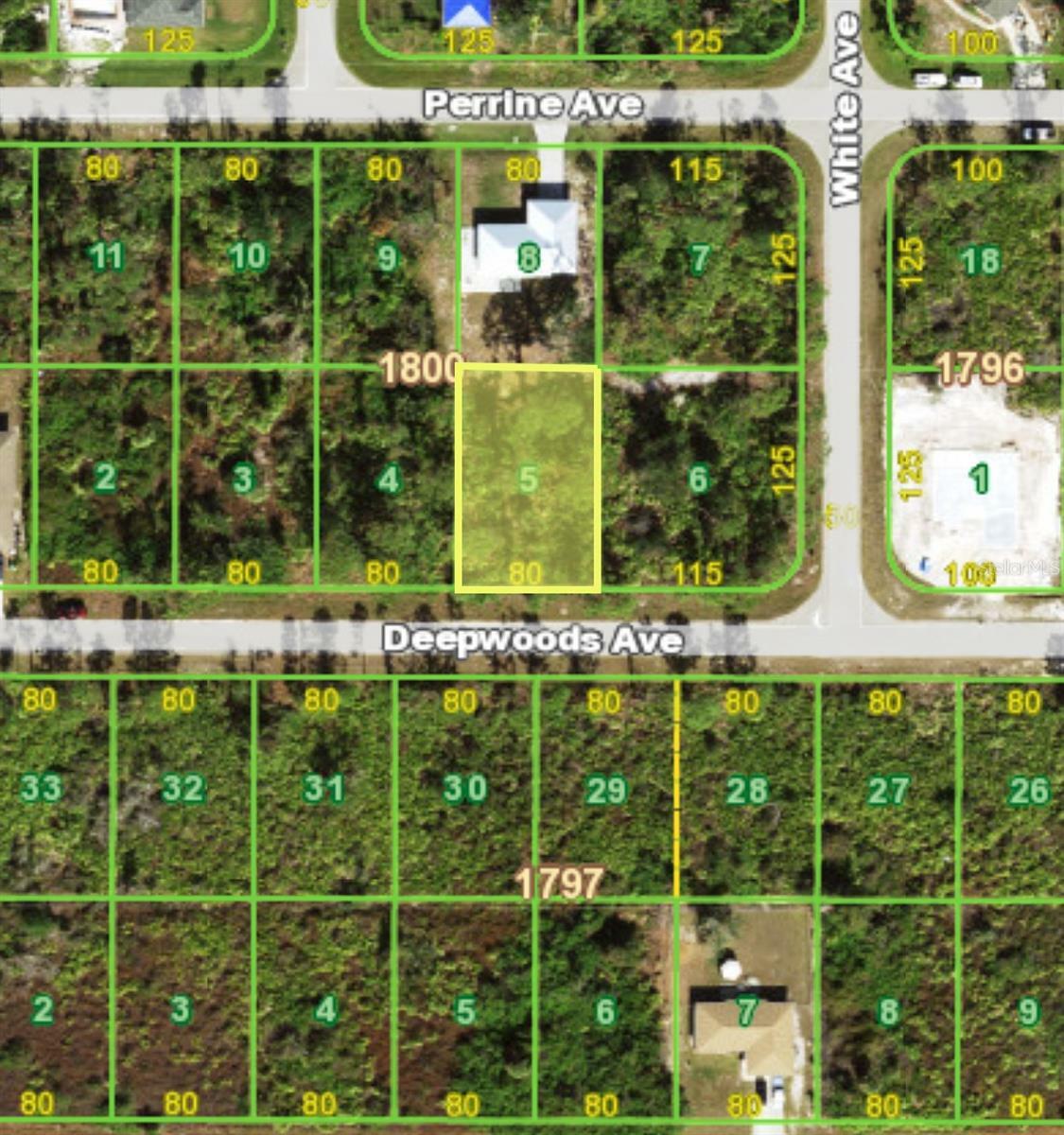 Property Photo:  12438 Deepwoods Avenue  FL 33981 