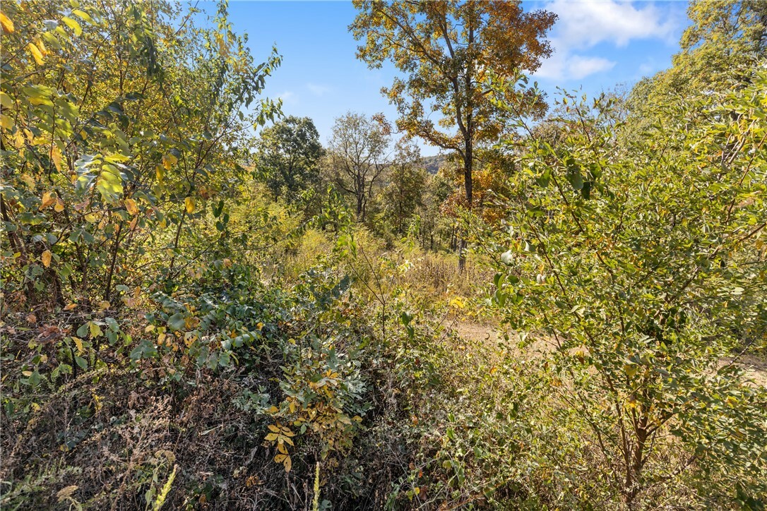 Property Photo:  Lot 31 Peaceful Place  AR 72601 