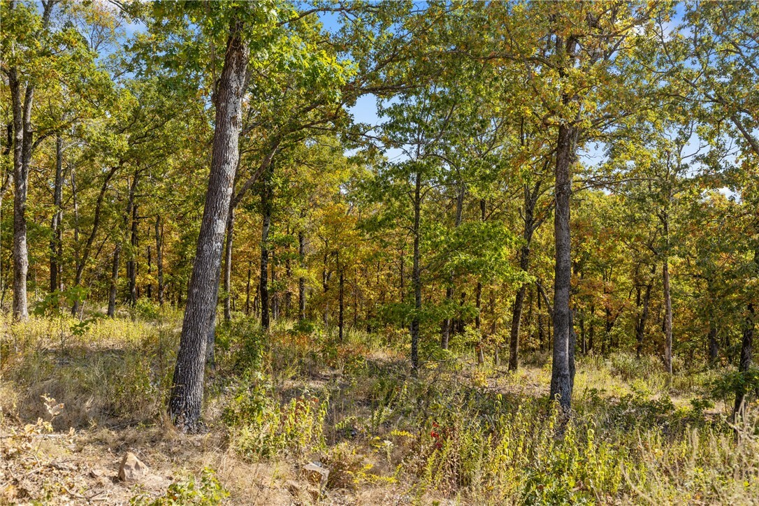 Property Photo:  Lot 16 Peaceful Place  AR 72601 