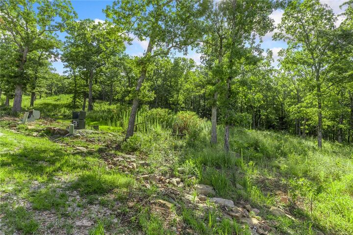 Property Photo: Lot 16 Peaceful Place AR 72601