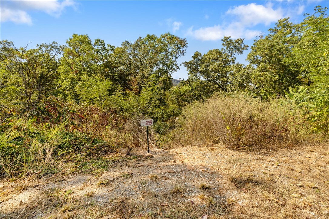 Property Photo:  Lot 25 Peaceful Place  AR 72601 