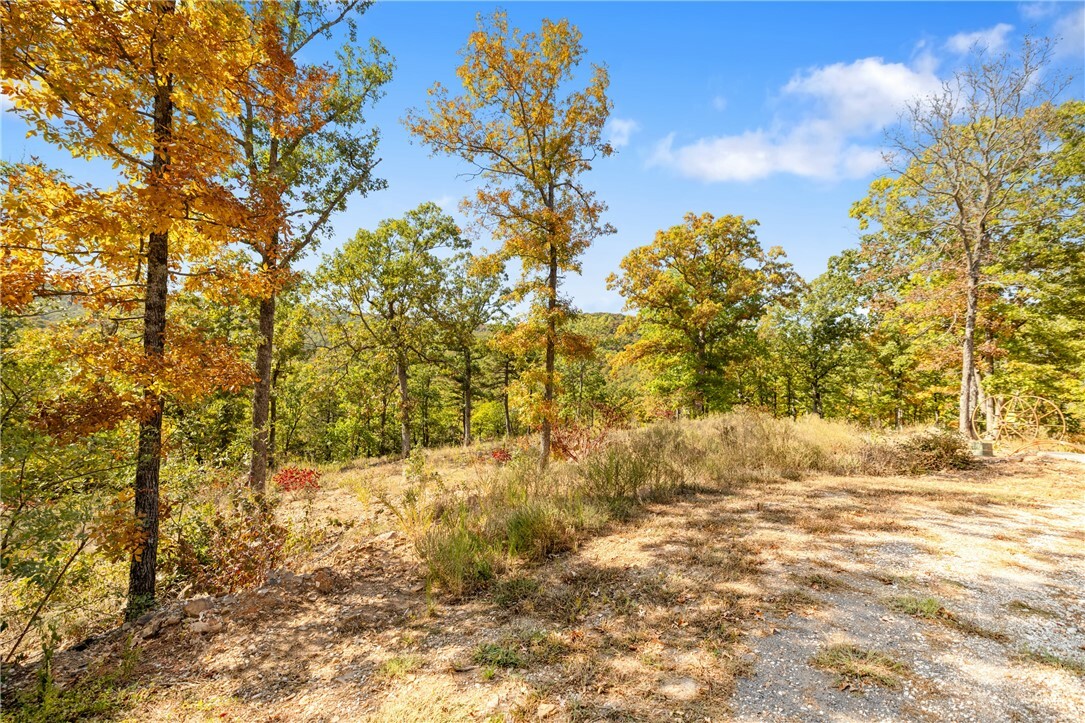 Property Photo:  Lot 20 Restore Ridge  AR 72601 