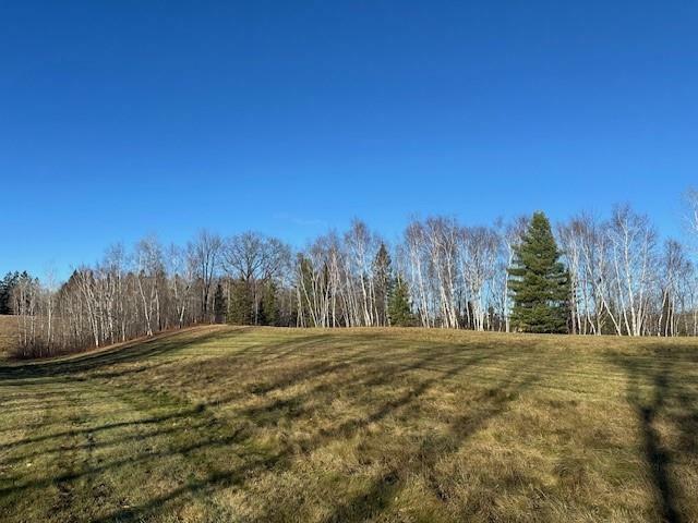 Property Photo:  Lots 3 & 4 Birken Trail Road  WI 54843 