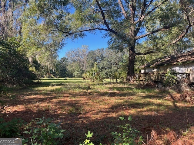 Property Photo:  314 Simpson Road  GA 31548 