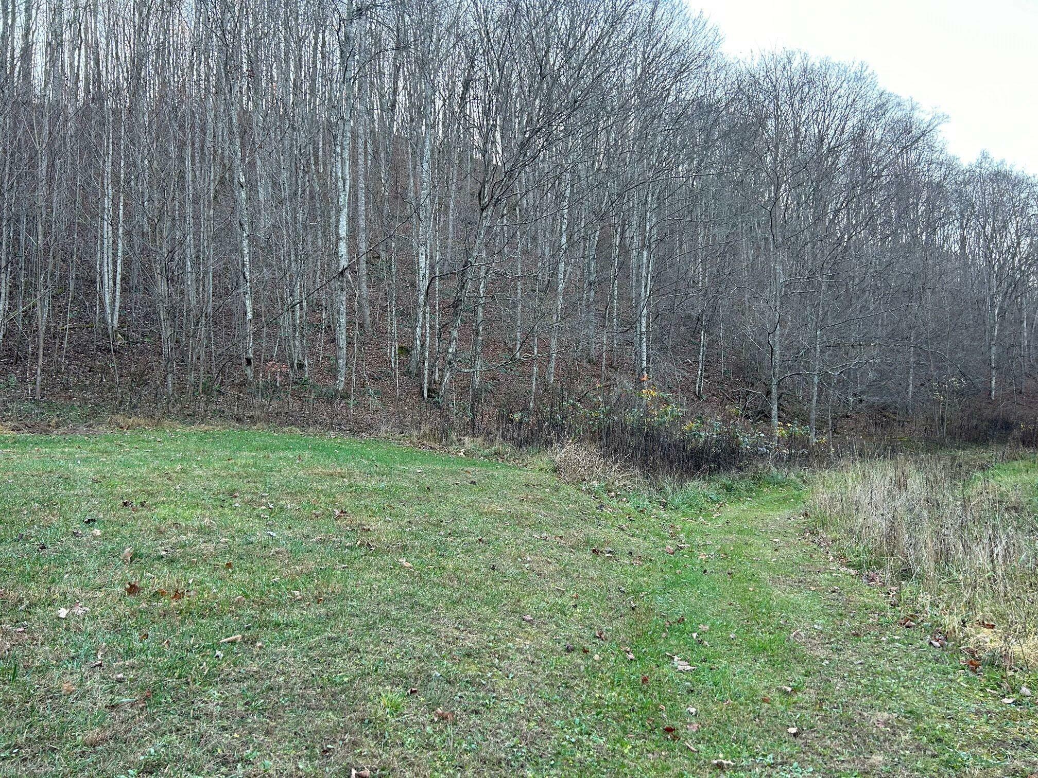 Property Photo:  Dale Hollow Rd  WV 24966 