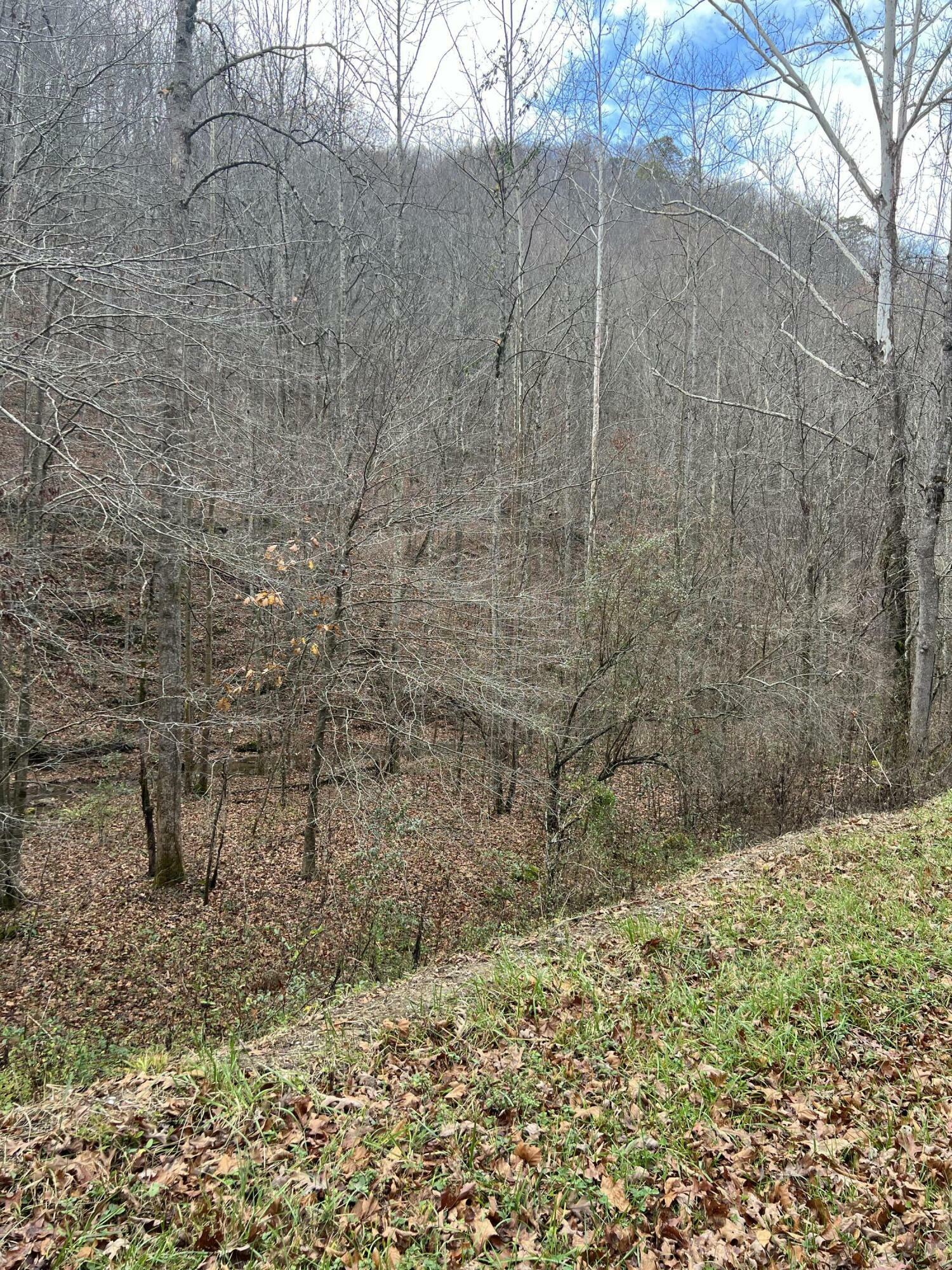 Property Photo:  9999 Cow Fork Road  KY 40913 