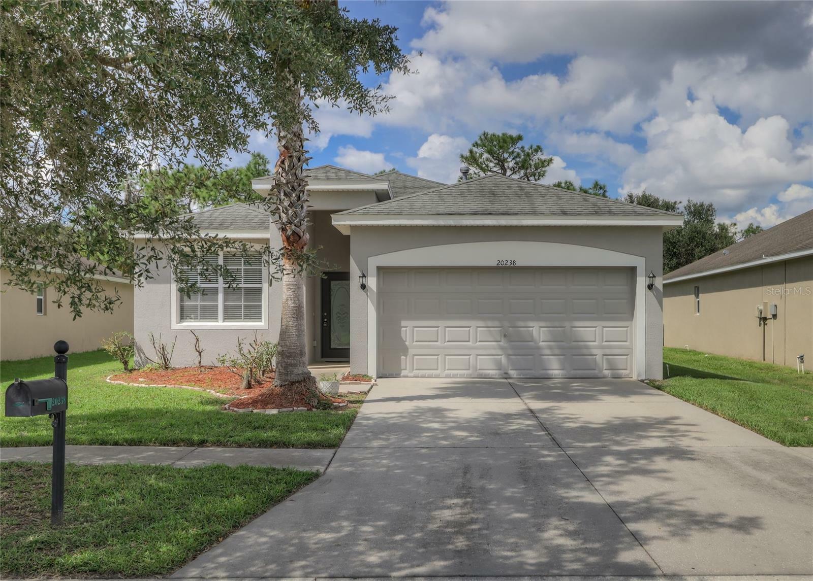 20238 Merry Oak Avenue  Tampa FL 33647 photo