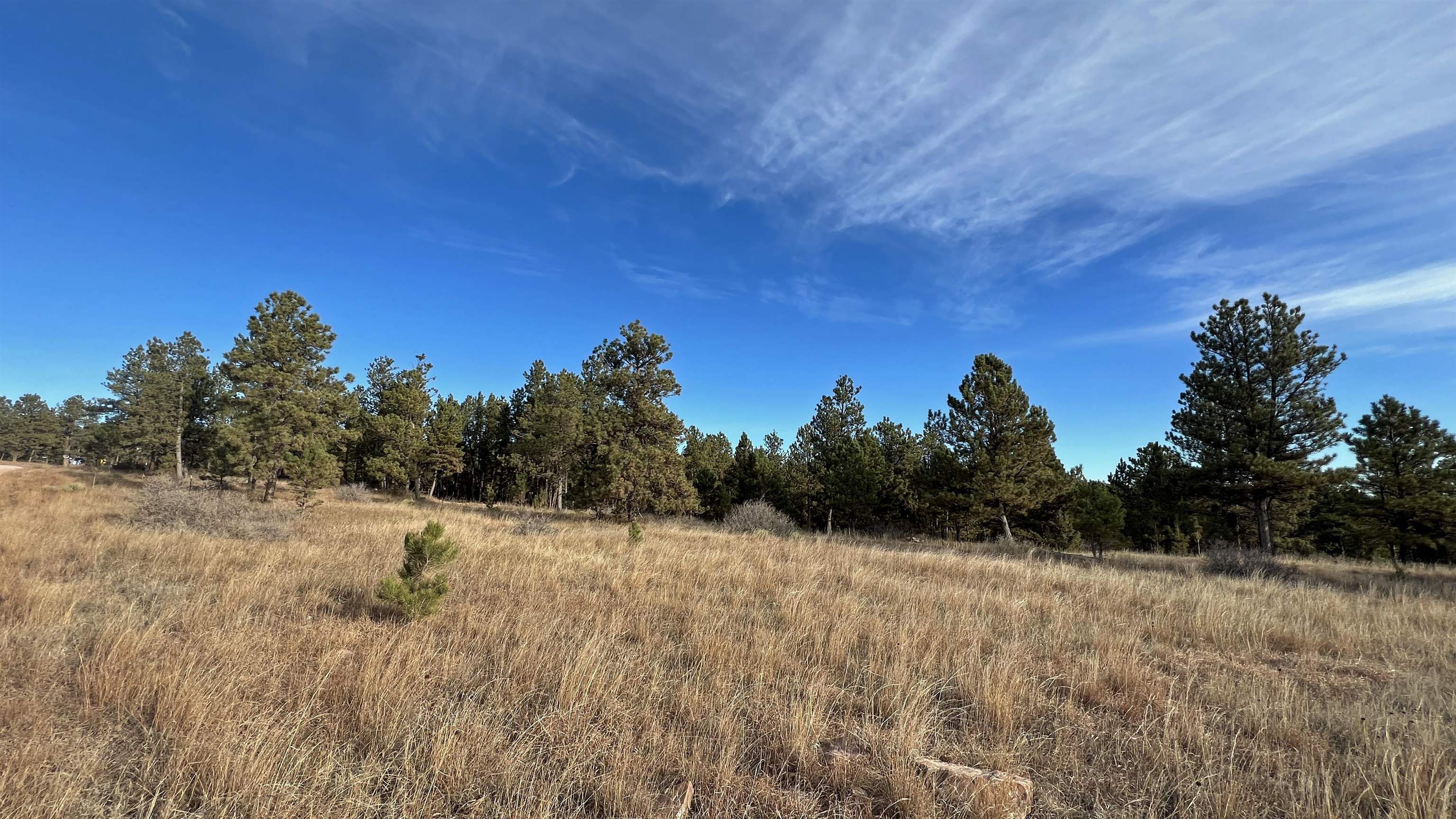 Property Photo:  Lot 8 Argyle Road  SD 57747 