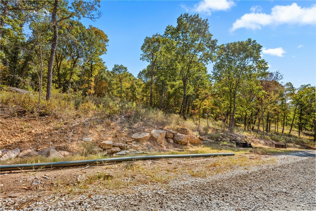 Property Photo:  Lot 102 Restore Ridge  AR 72601 