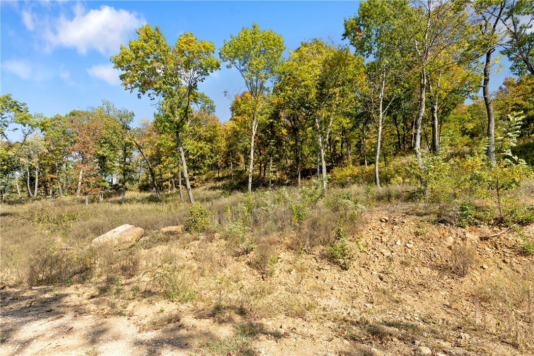 Property Photo:  Lot 56 Restore Ridge  AR 72601 