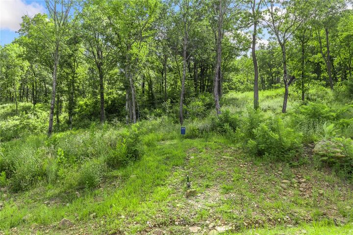 Property Photo: Lot 56 Restore Ridge AR 72601