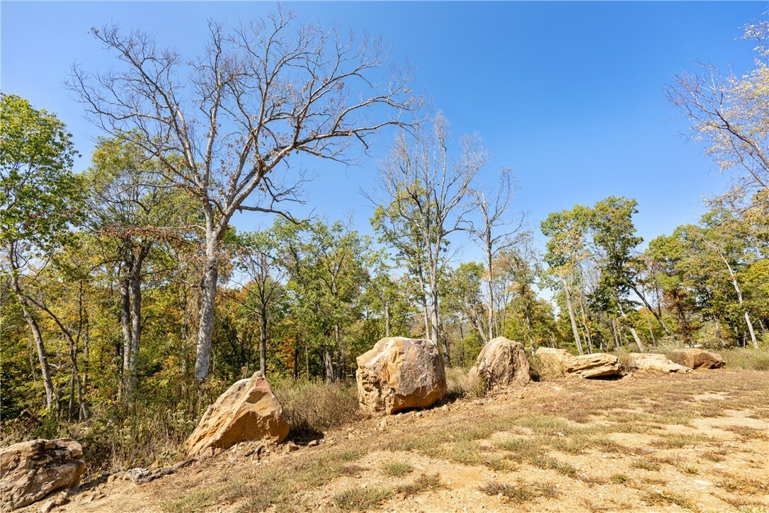 Property Photo:  Lot 77 Restore Ridge  AR 72601 