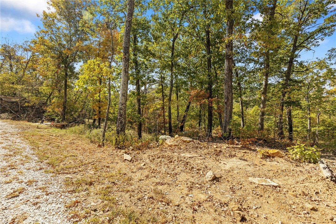 Property Photo:  Lot 81 Restore Ridge  AR 72601 