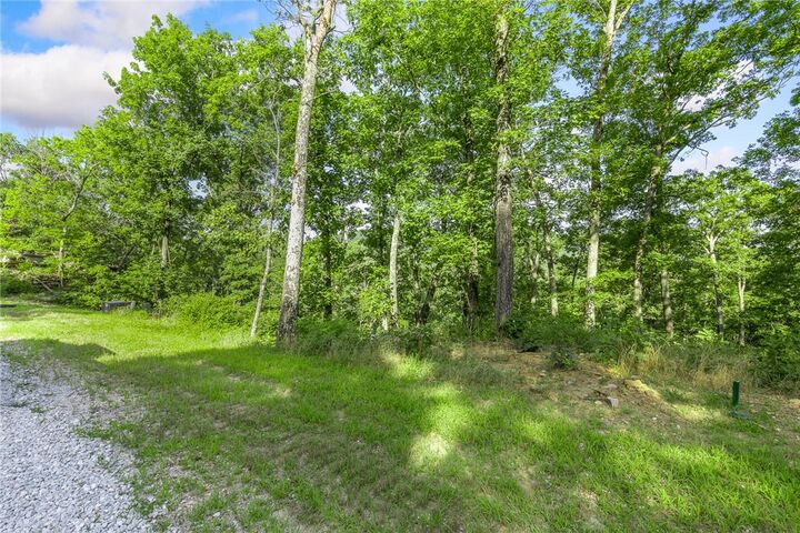 Property Photo: Lot 81 Restore Ridge AR 72601