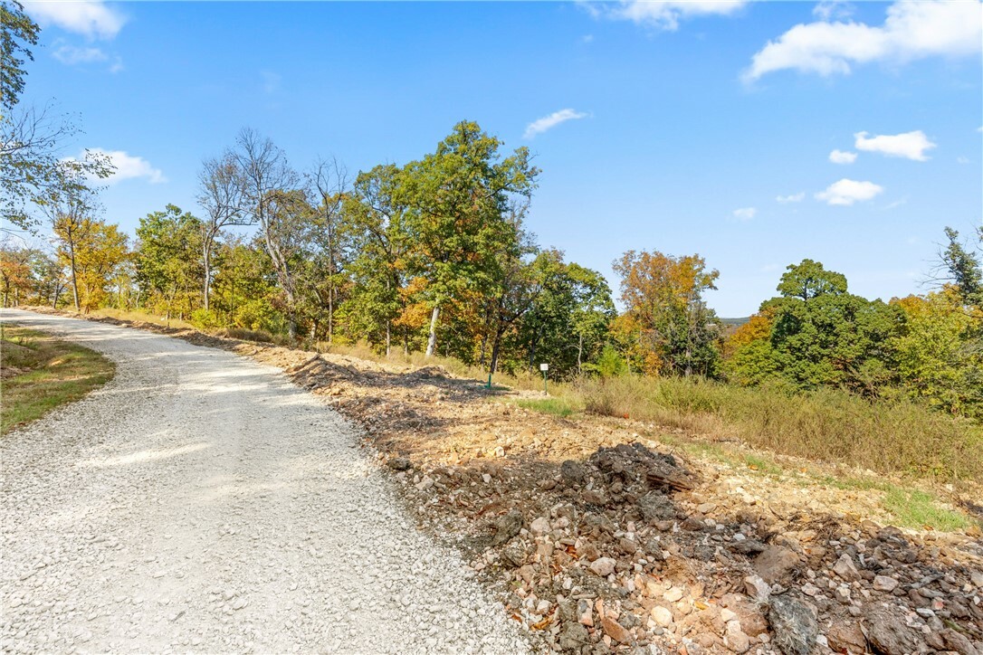 Property Photo:  Lot 92 Restore Circle  AR 72601 