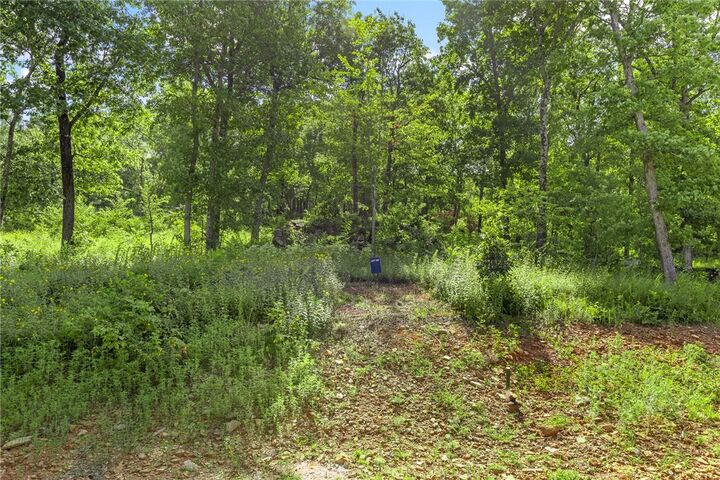 Property Photo: Lot 60 Restore Ridge AR 72601