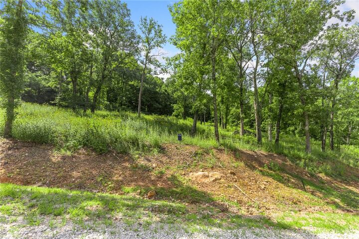 Property Photo: Lot 101 Restore Ridge AR 72601