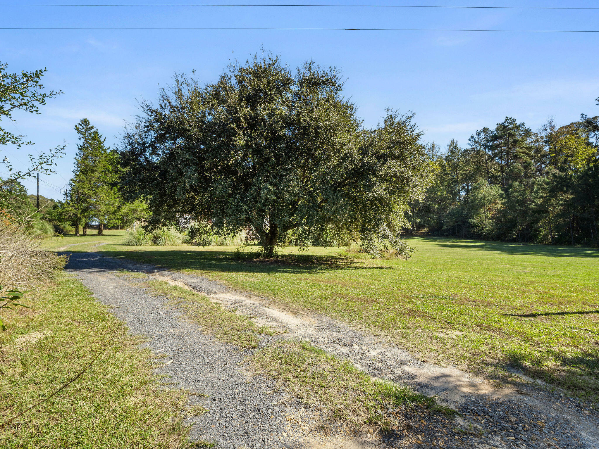 Property Photo:  3211 Savage Forks Rd  LA 71446 