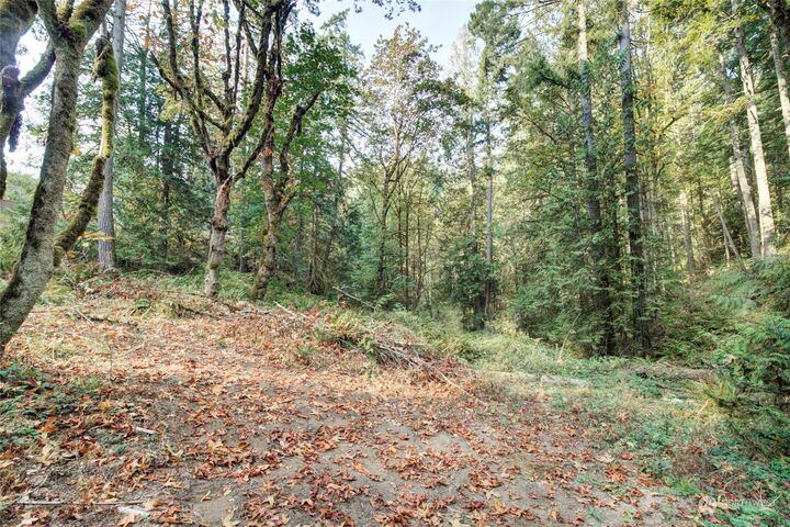 37 Xxx  212th Way SE  Sammamish WA 98075 photo