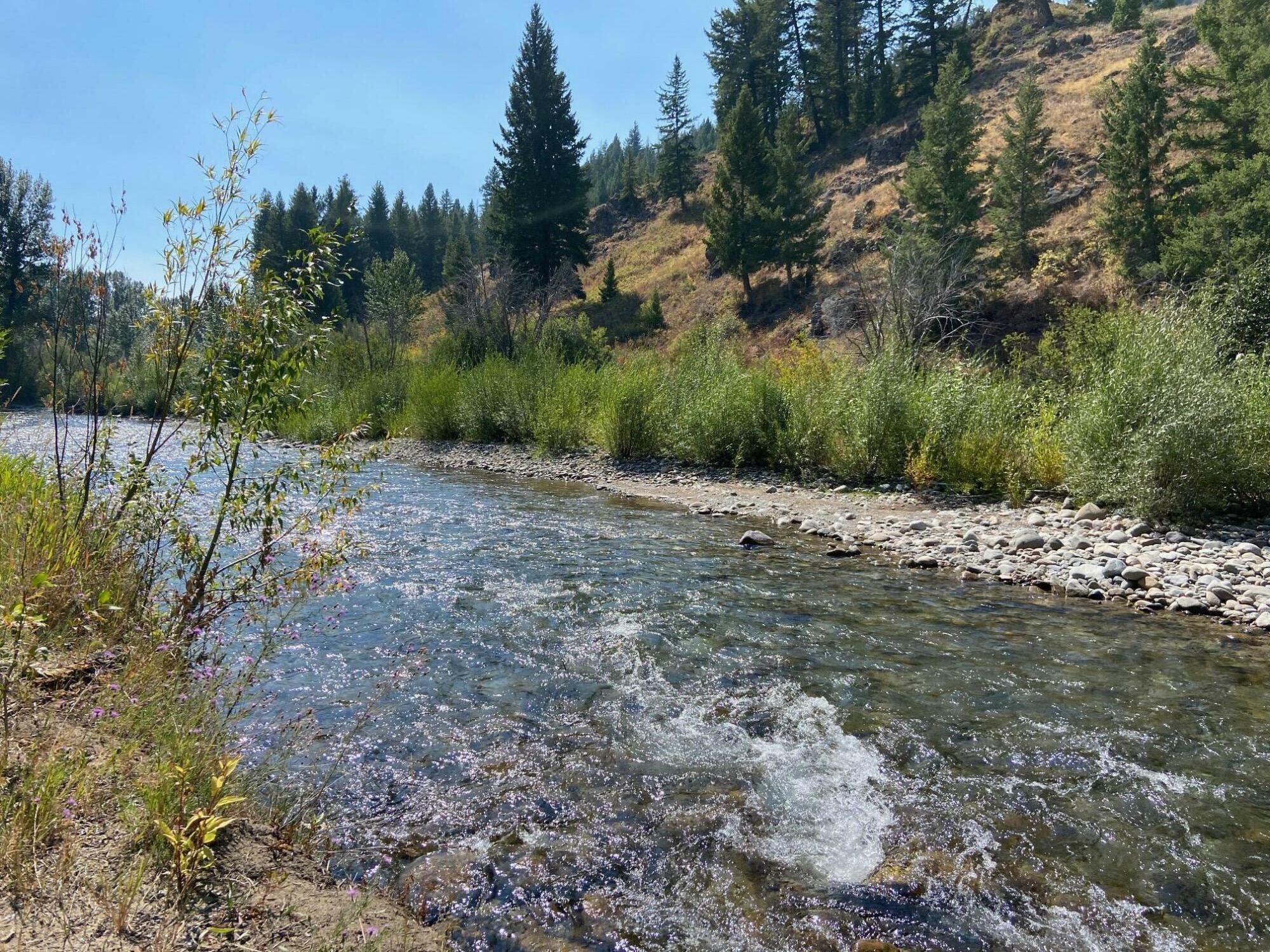 Property Photo:  225 Eagle Creek Loop  ID 83340 