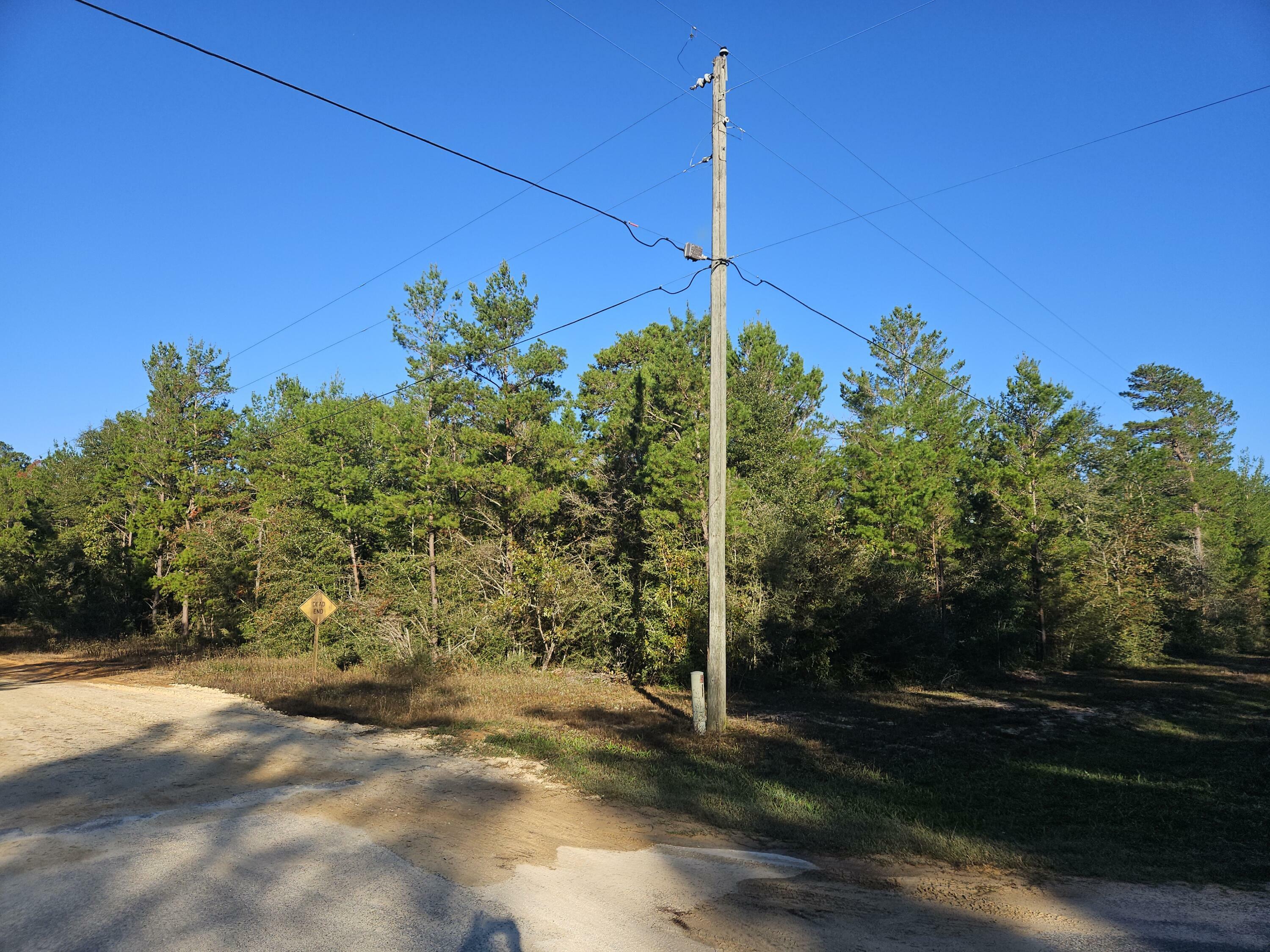 Property Photo:  Lot 2 May Lilly Court  FL 32433 