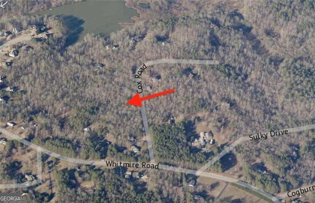 Property Photo:  0 Cox Road, Tract 13  GA 30028 