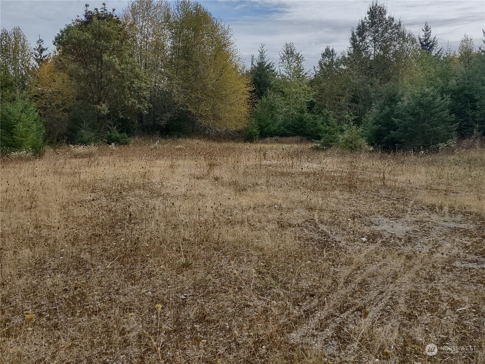Property Photo:  0  Elwha River Road  WA 98363 