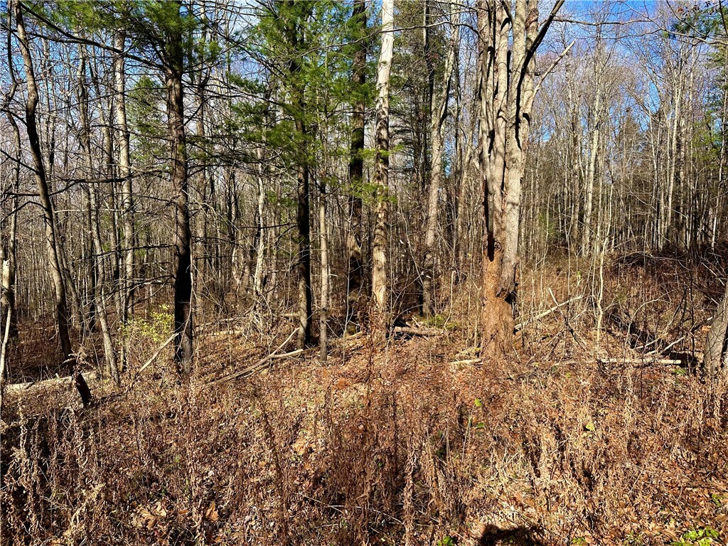 Property Photo:  Honeypot Road  NY 13743 