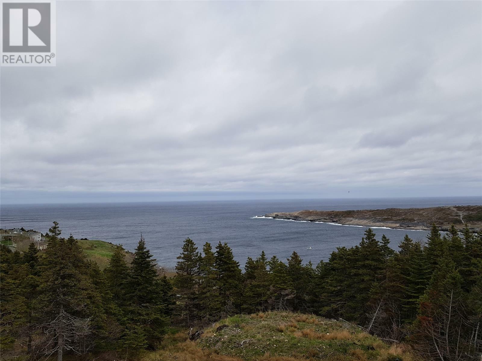 Photo de la propriété:  5 Wildberry Ridge  NL A1K 0M6 