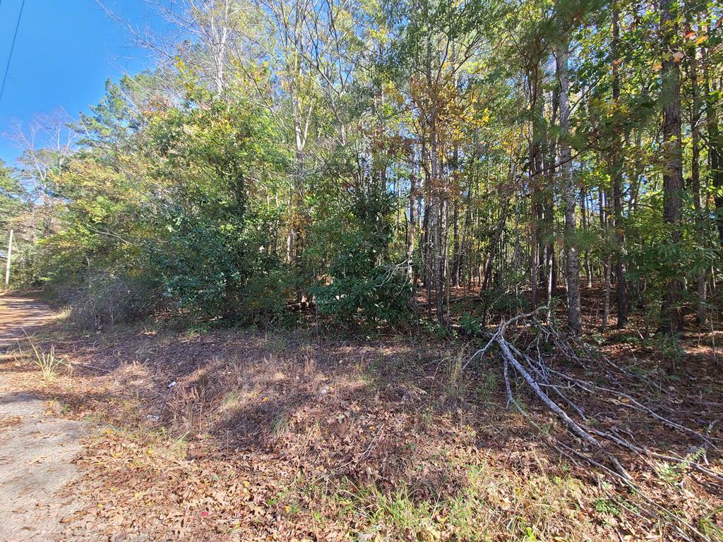 Property Photo:  Lot 90 E Lakeshore Drive  GA 31831 