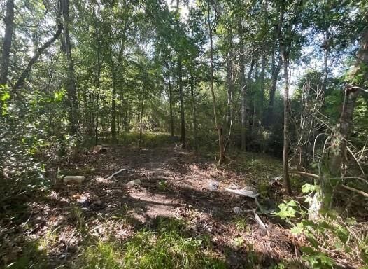 Property Photo:  2651 Claire Drive  TX 77630 