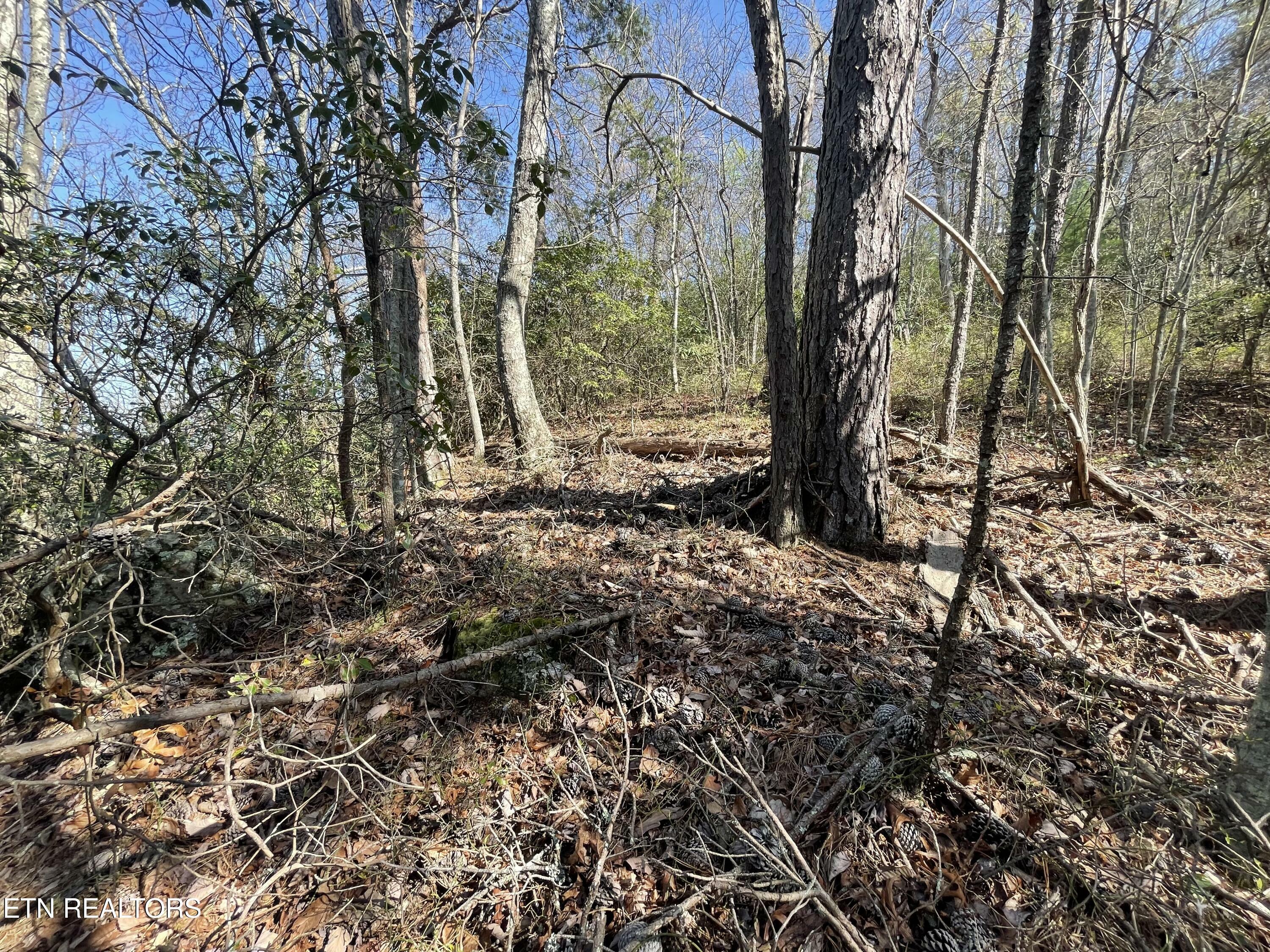 Property Photo:  Lot 5 Overholt Tr  TN 37862 