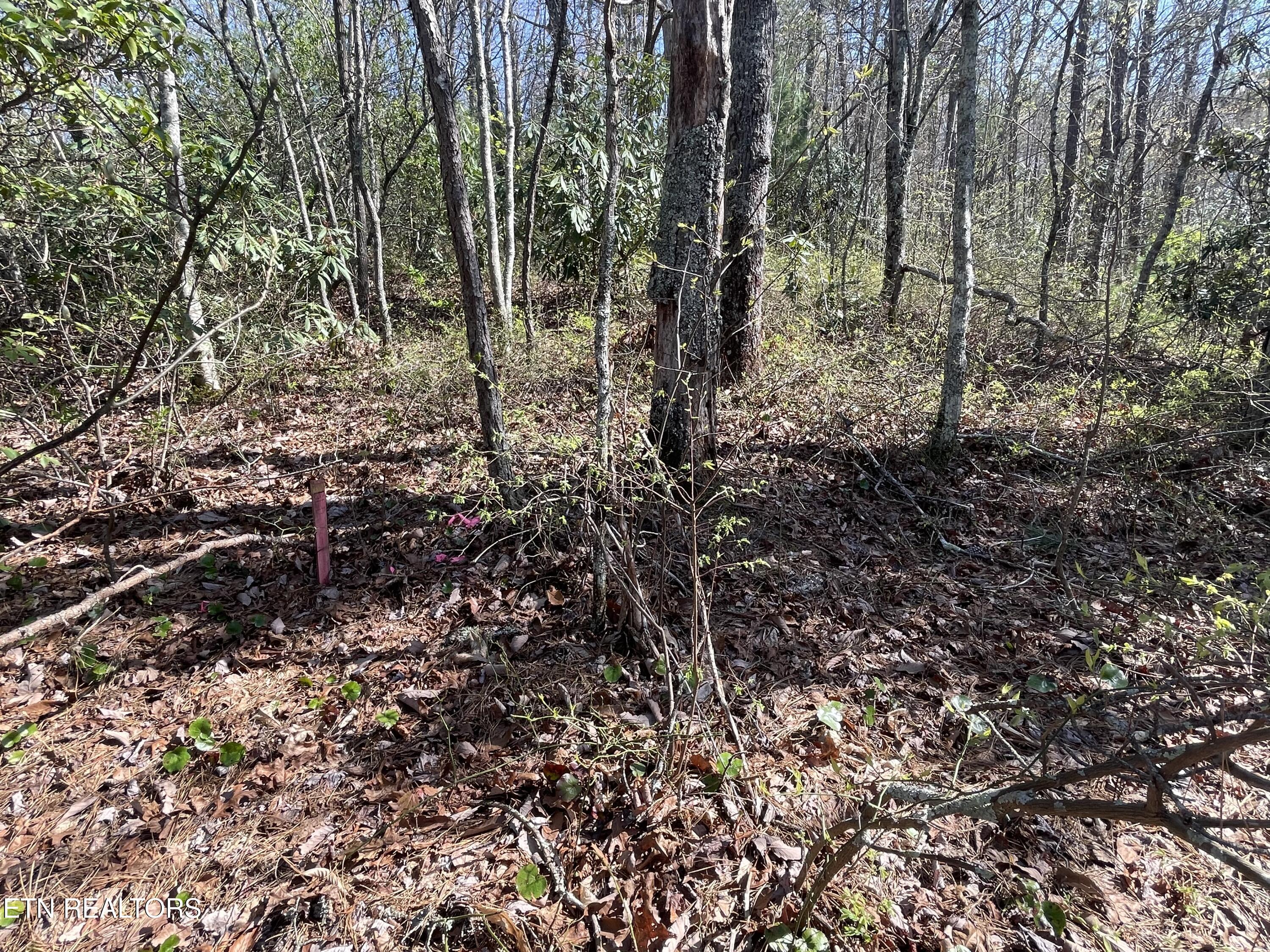 Property Photo: Lot 5 Overholt Tr TN 37862