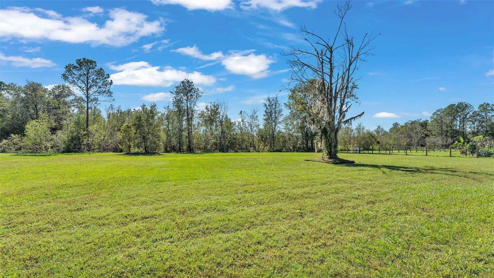 Property Photo:  4616 Musket Drive  FL 33810 