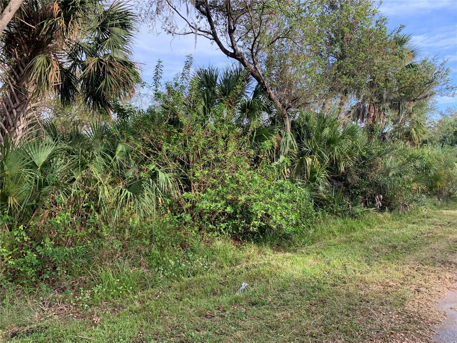 Property Photo:  1441 Candy Lane  FL 33953 