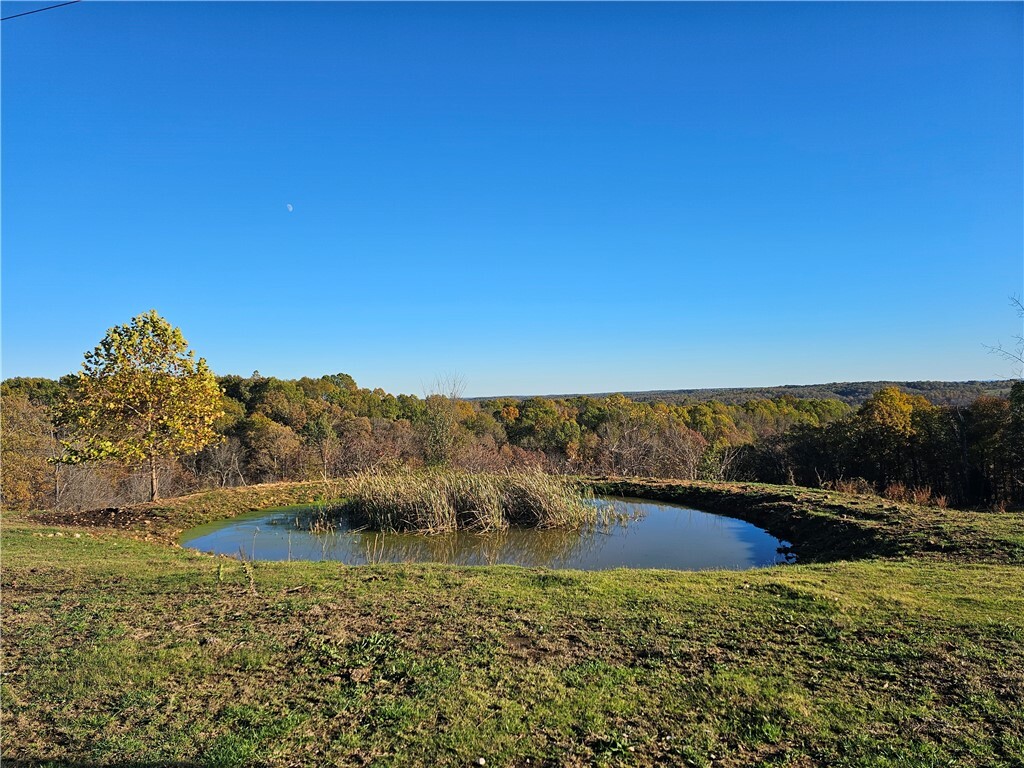 Property Photo:  15.94 Acres Hwy 23 & Madison 1000  AR 72740 