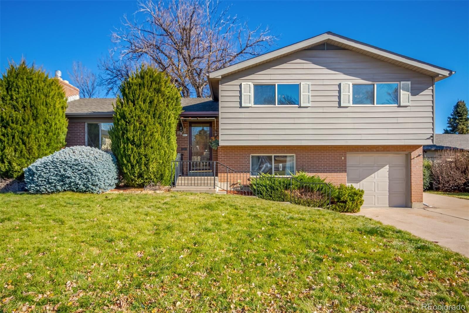 Property Photo:  189 Belford Drive  CO 80260