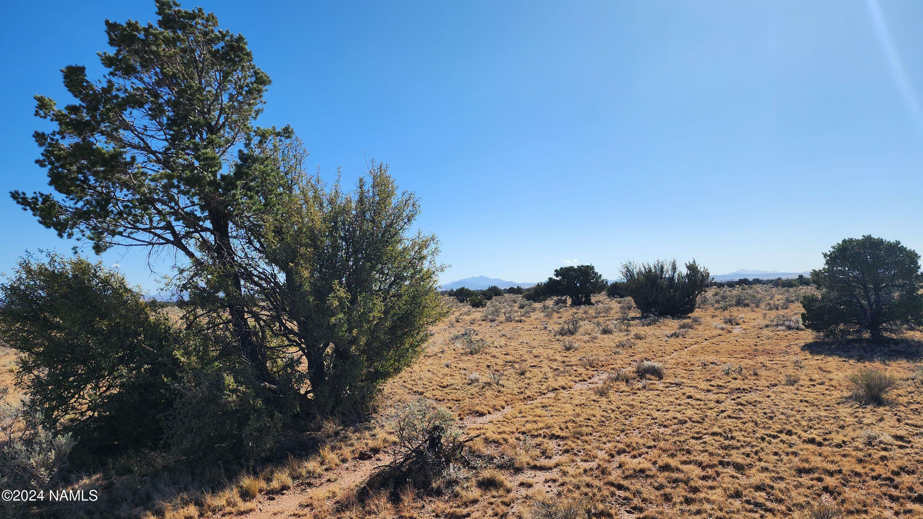 Property Photo:  3433 Red Butte Rd Lot C  AZ 86046 