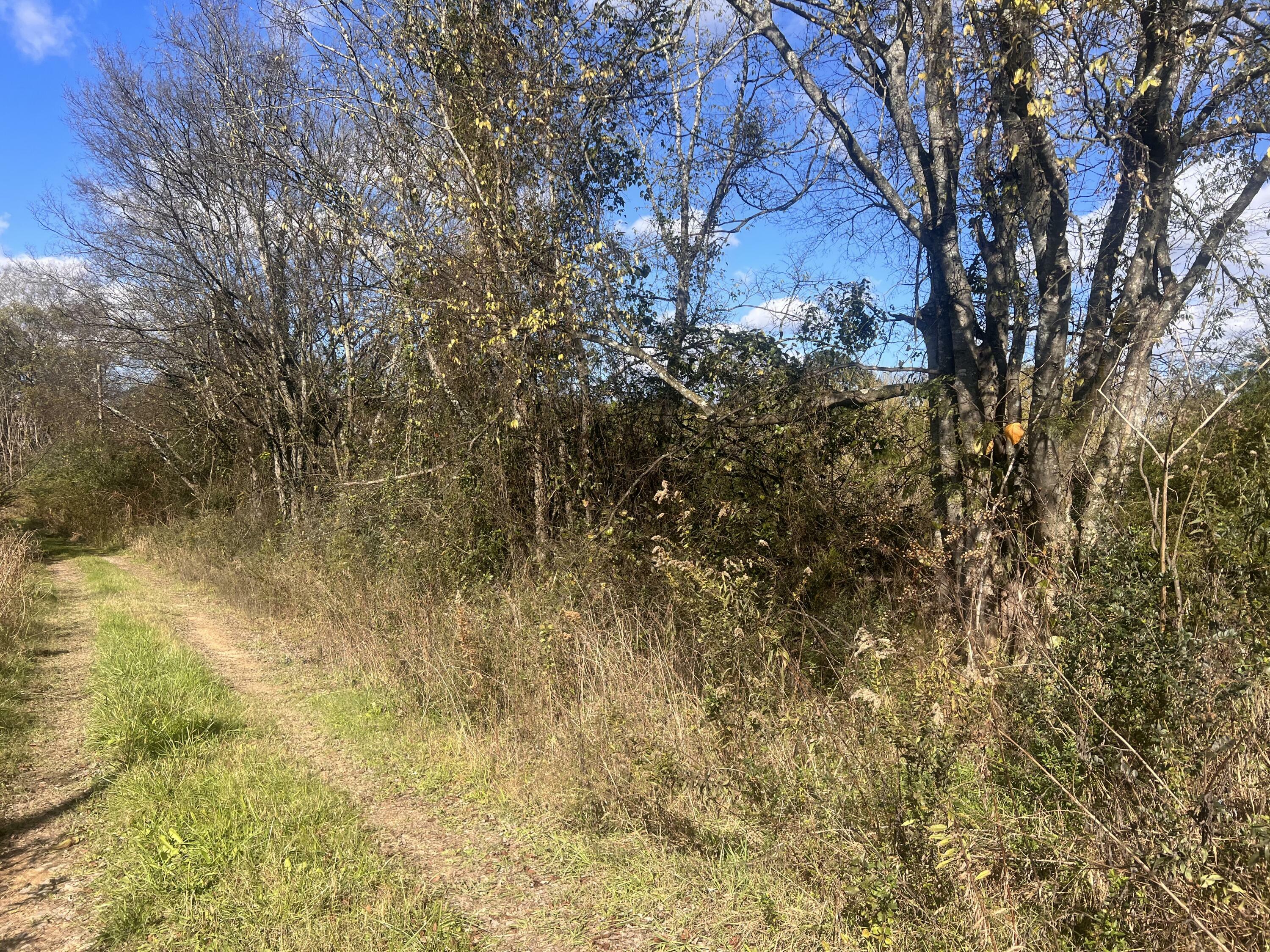 Property Photo:  46996 Alabama Highway  AL 35740 