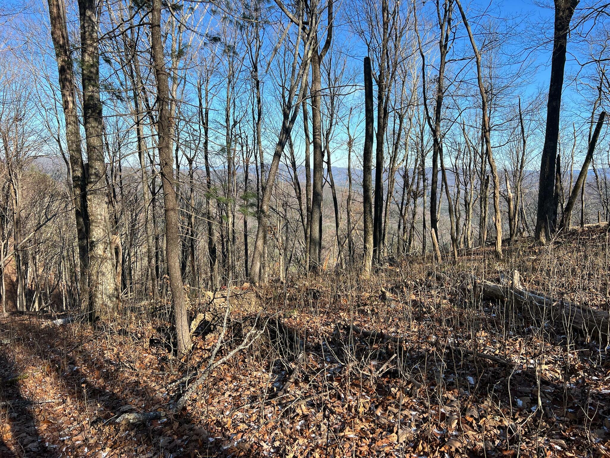 Property Photo:  Lot 20 Bear Trak  WV 24941 