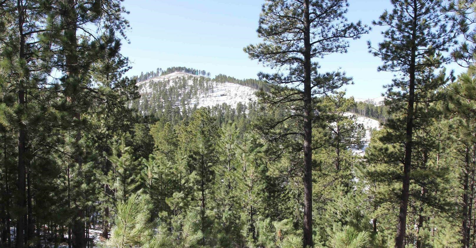 Property Photo:  Lot 7 Elk View Loop  SD 57785 